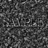Zoy Texture [ Dry grass 02 ] Seamless - Dark Gray