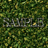 Zoy Texture [ Dry grass 02 ] Seamless - Dark Green