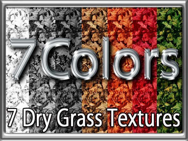 Zoy Texture [ Dry grass 02 ] Seamless - 7 Colors