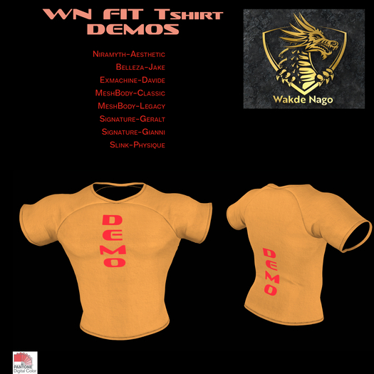WN  FIT Tshirt - DEMOS II