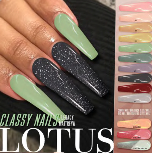 LOTUS. Classy Nails 05 BOX