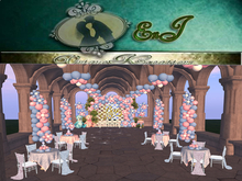 BABY GENDER REVEAL VENUE