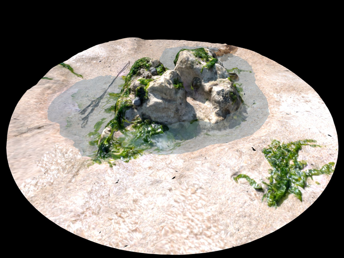 Full Perm Scanned Beach Tide Pool "Photogrammetry - Rock 01"