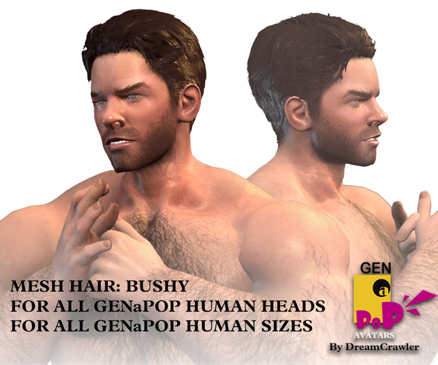 [GENaPOP] [Human_Hair] Bushy
