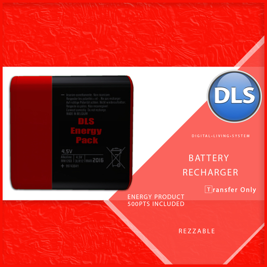 DLS Energy - Battery Recharger