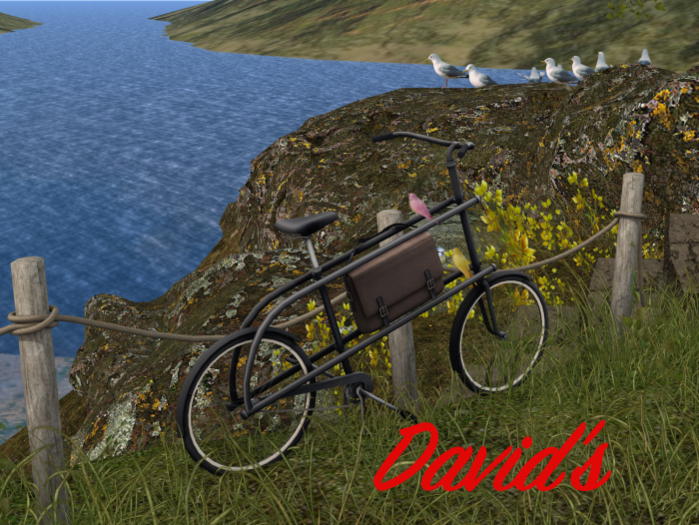 Wings or wheels