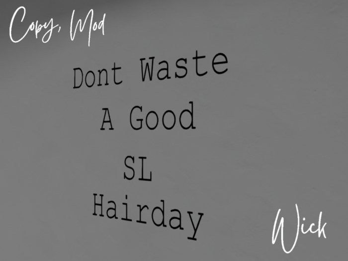SL Hairday Wall Decal