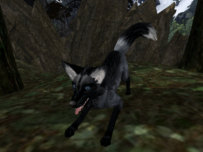 TWI Silver Fox Mod