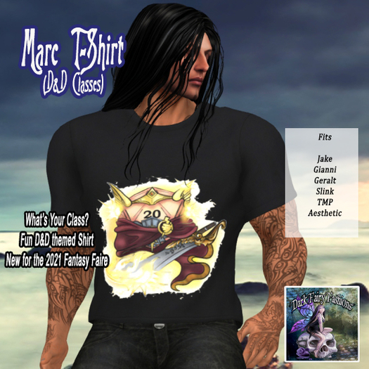 DFF Marc T-Shirt (Character Class)  Paladin