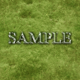 Zoy Texture [ Lawn ] Seamless - Moss