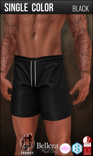 {COLD-ASH} Mens MESH SLATER Swim Shorts (BLACK)