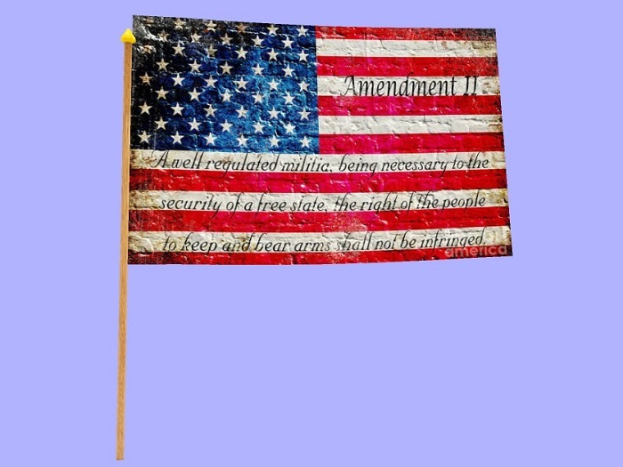 Hand held flag-Distressed 2nd Ammendment  (Add)