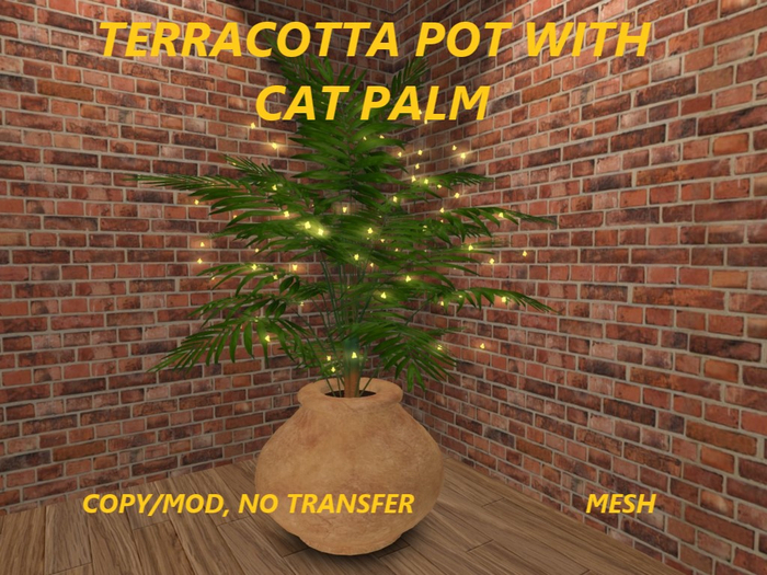 TERRACOTTA POT WITH CAT PALM