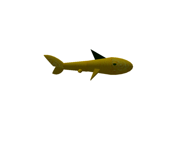 DN rare Lemon shark