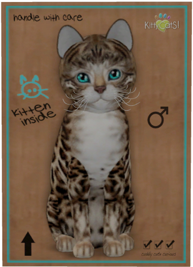 KittyCatS Box - Bengal - Tawny