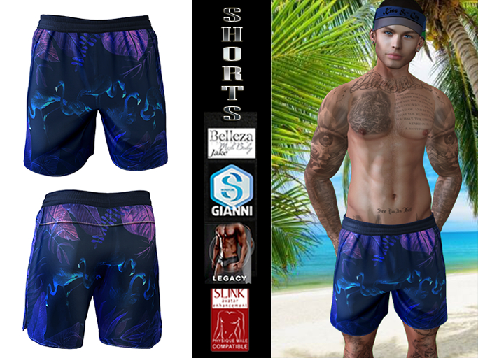 InStyl-Men's Training Shorts-V2.5(for Belleza Jake, Slink Male, Signature Gianni, Legacy)