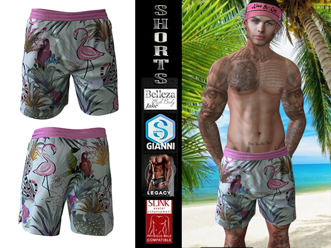 Sale!!!  InStyl-Men's Training Shorts-V2.6(for Belleza Jake, Slink Male, Signature Gianni, Legacy)