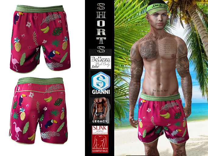 Sale!!!  InStyl-Men's Training Shorts-V2.8(Belleza, Slink, Signature )