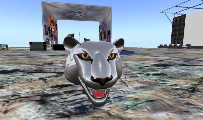 Tiger Head Tip Jar