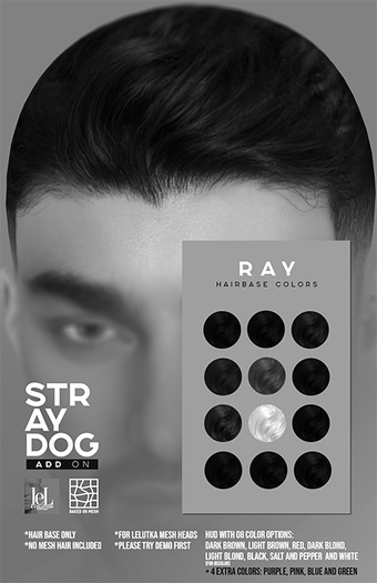 *DEMO* Stray Dog -RAY HAIRBASE