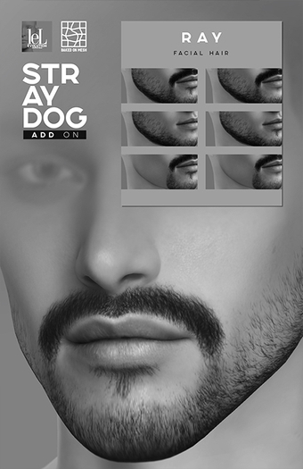 *DEMO* Stray Dog -RAY FACIAL HAIR