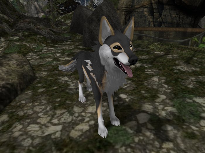 TWI The Masked Sesame Wolfdog for TWI Timber Wolf