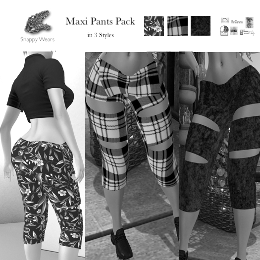 Snappy \\ Maxi Pants- Demo boxed
