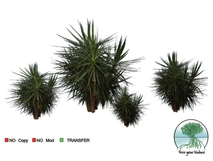 set plant -tropical- 13