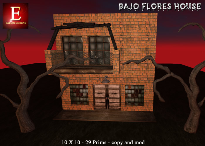 E - Bajo Flores house 