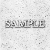 Zoy Texture [ Pitted Concrete ] Seamless - White
