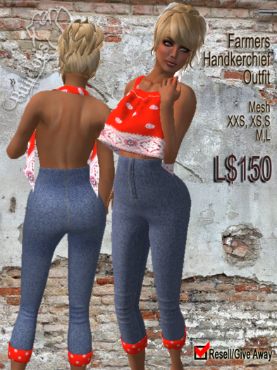 Farmers Handkershief Outfit / ~Bulldogs~