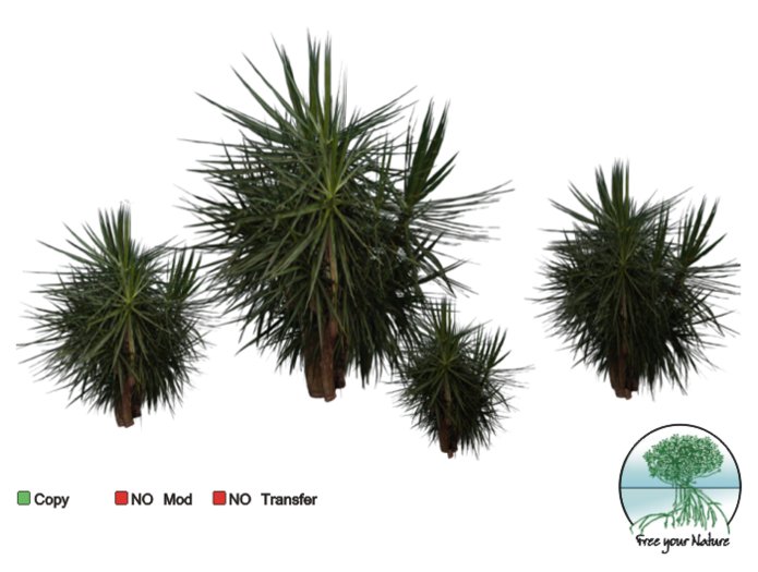 set plant -tropical- 13 MPC