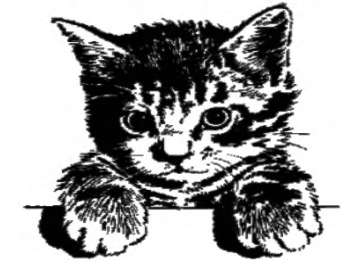 Tattoo Katze 1