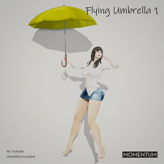 Momentum - Flying Umbrella 1