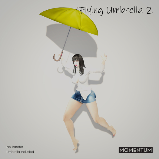 Momentum - Flying umbrella 2