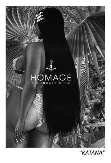 HoMAGE -- Katana : DEMO!
