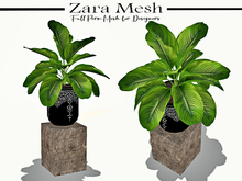 Zara Mesh - Plants - Tropical Palm - FULL PERM MESH