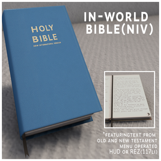  NIV Bible (GeyserBlue)