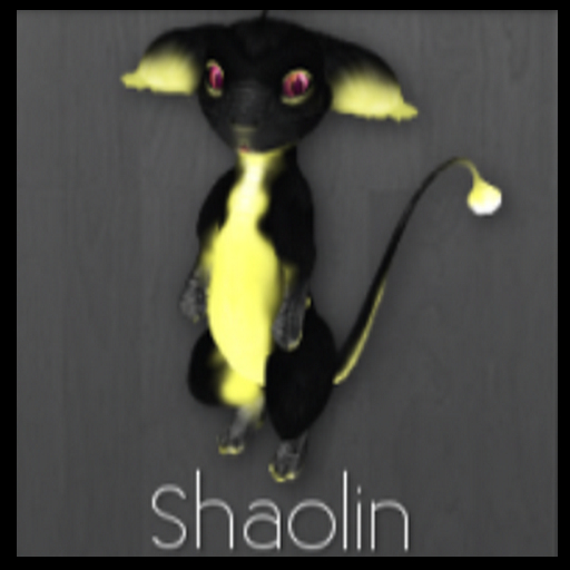 DOS Inkstone Shaolin m #8455232