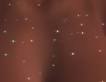 JUNE ~ Body Glitter shining stars