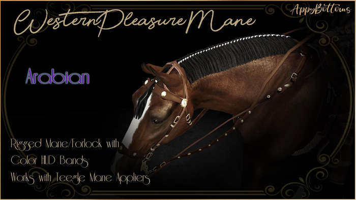:AppyBottoms: TeeglePet WesternPleasure Mane (Arab)