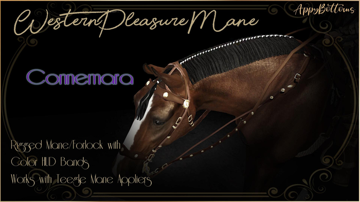 :AppyBottoms: TeeglePet WesternPleasure Mane (Conne)