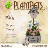 PlantPet Seed [Lily *Easter Sunrise*] (Rare Elite)