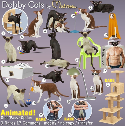 Mutresse - Dobby Cats - 4