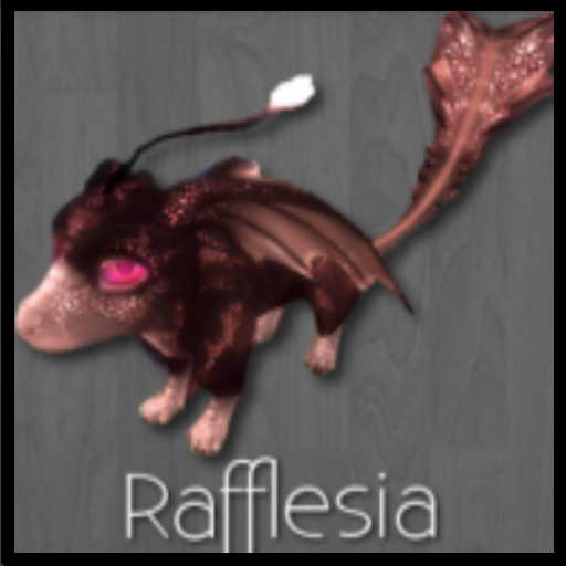 DOS Samud&Silex Rafflesia F Loyal #8454993