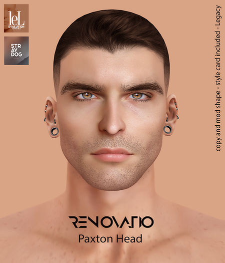 RENOVATIO Evo Adam Shape