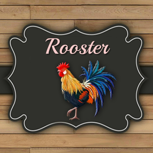 DFS ROOSTER