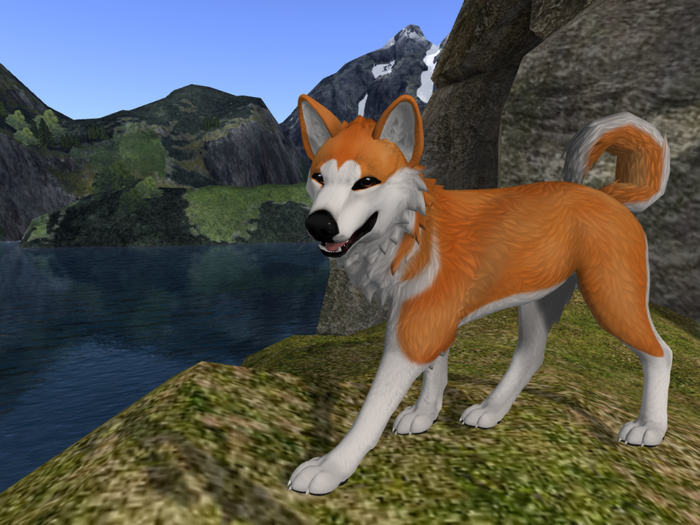 TWI Hachiko Akita Mod