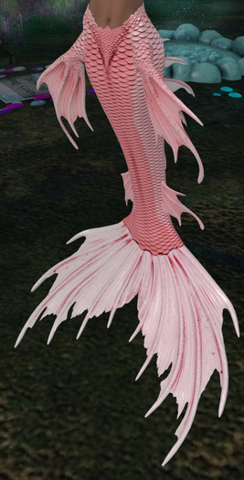 DT - Nemissa ~ Shirahoshi