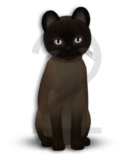 KittyCatS Box - 7T-M / Tonkinese - Natural Mink - Normal / Twinkle - Posh